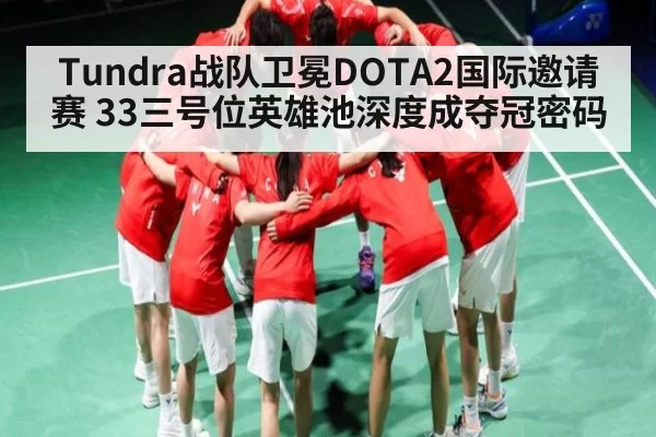 Tundra战队卫冕DOTA2国际邀请赛 33三号位英雄池深度成夺冠密码